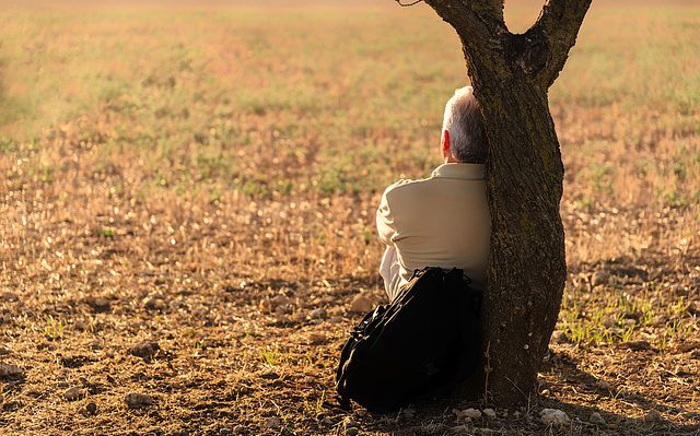 Man sitting against a tree looking out over a field
