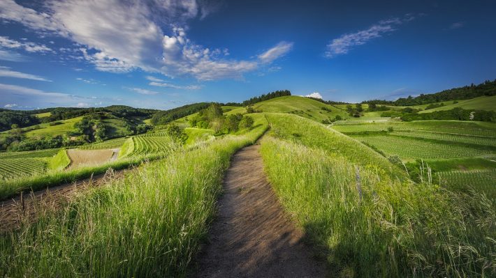 a path along a hill top