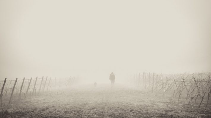a person walking in the mist